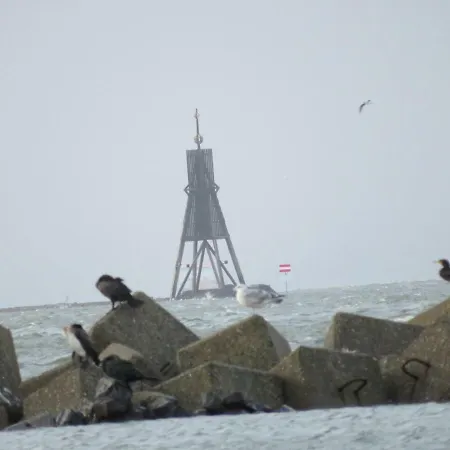 Deichblick Lejlighed Cuxhaven Eksteriør billede